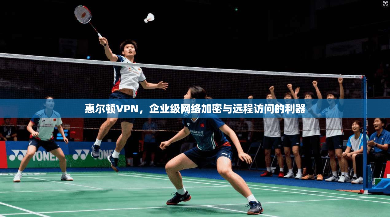惠尔顿VPN，企业级网络加密与远程访问的利器
