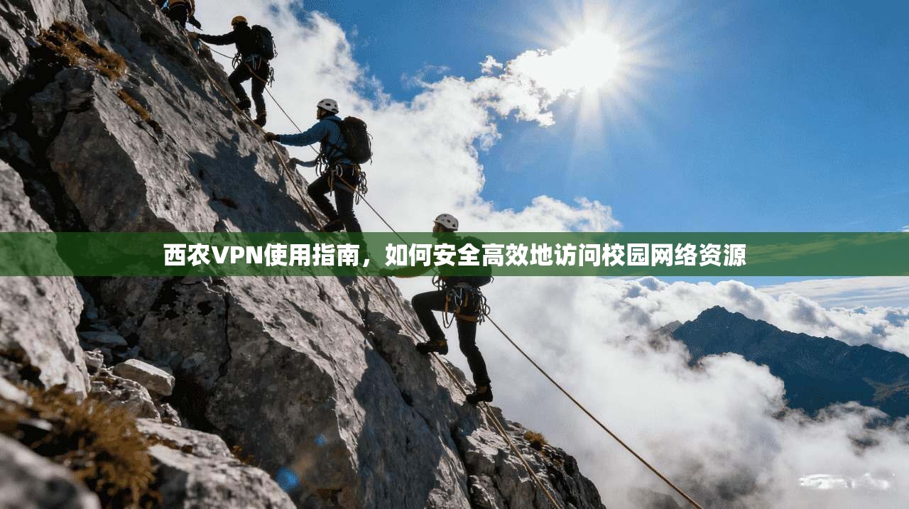西农VPN使用指南，如何安全高效地访问校园网络资源
