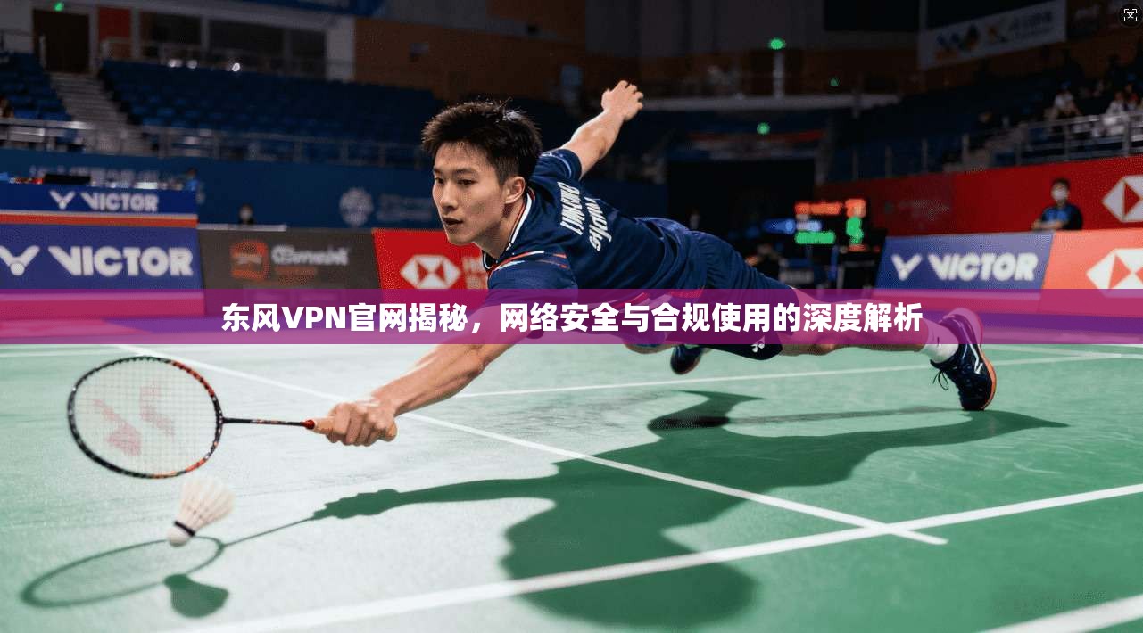 东风VPN官网揭秘,网络安全与合规使用的深度解析