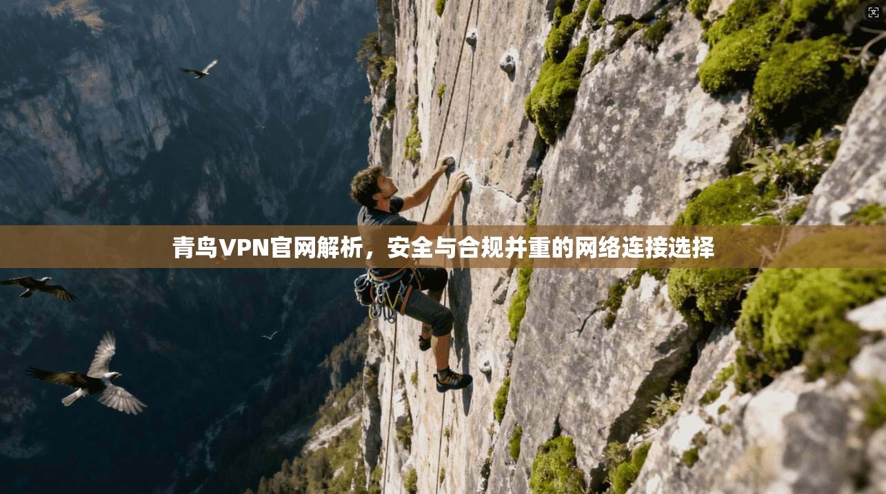 青鸟VPN官网解析,安全与合规并重的网络连接选择
