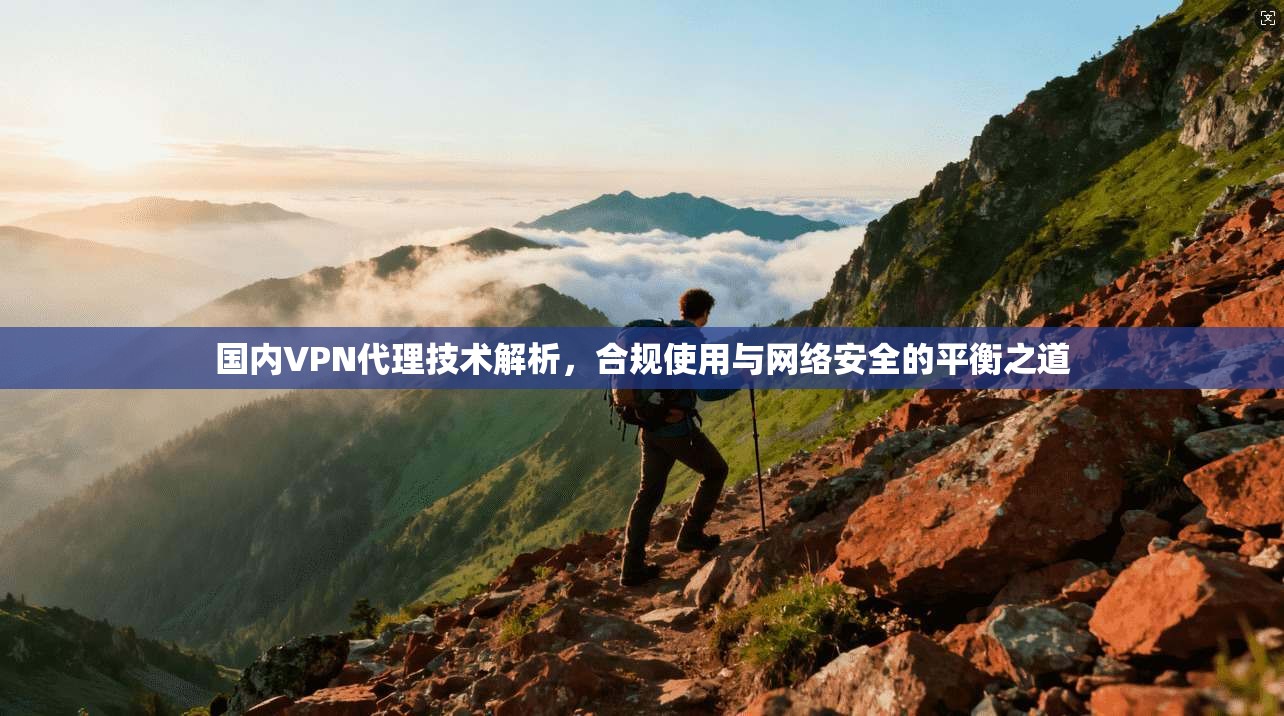 国内VPN代理技术解析，合规使用与网络安全的平衡之道
