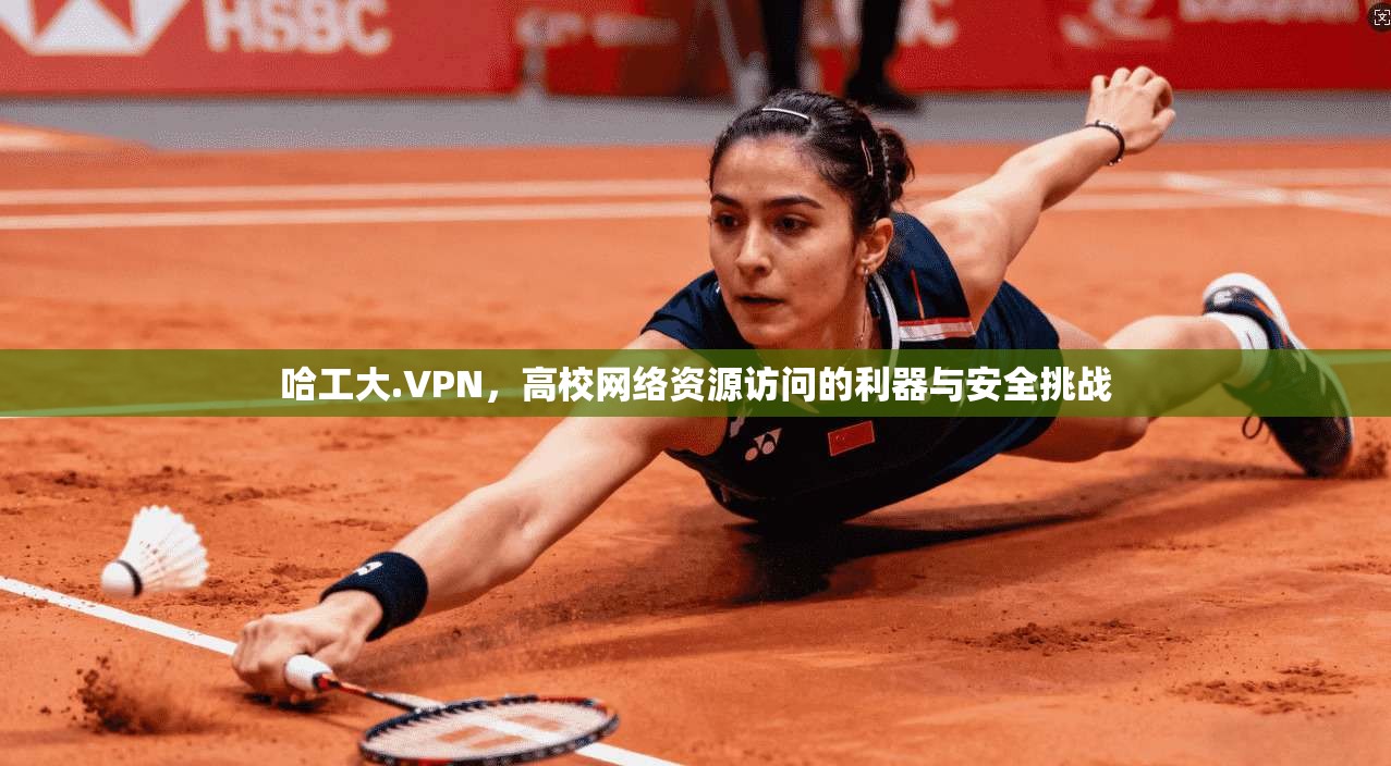 哈工大.VPN，高校网络资源访问的利器与安全挑战