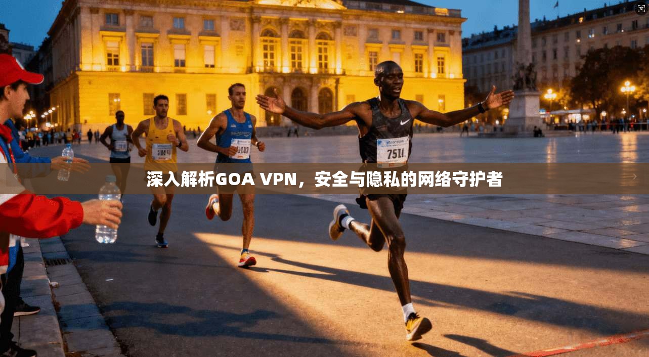 深入解析GOA VPN，安全与隐私的网络守护者