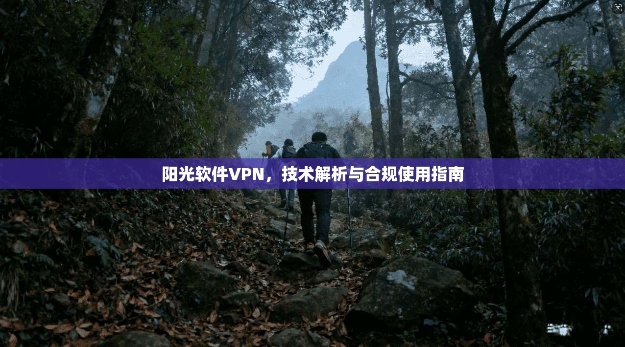 阳光软件VPN，技术解析与合规使用指南
