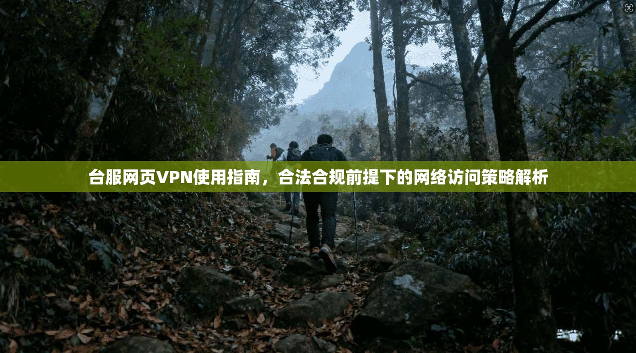 台服网页VPN使用指南，合法合规前提下的网络访问策略解析