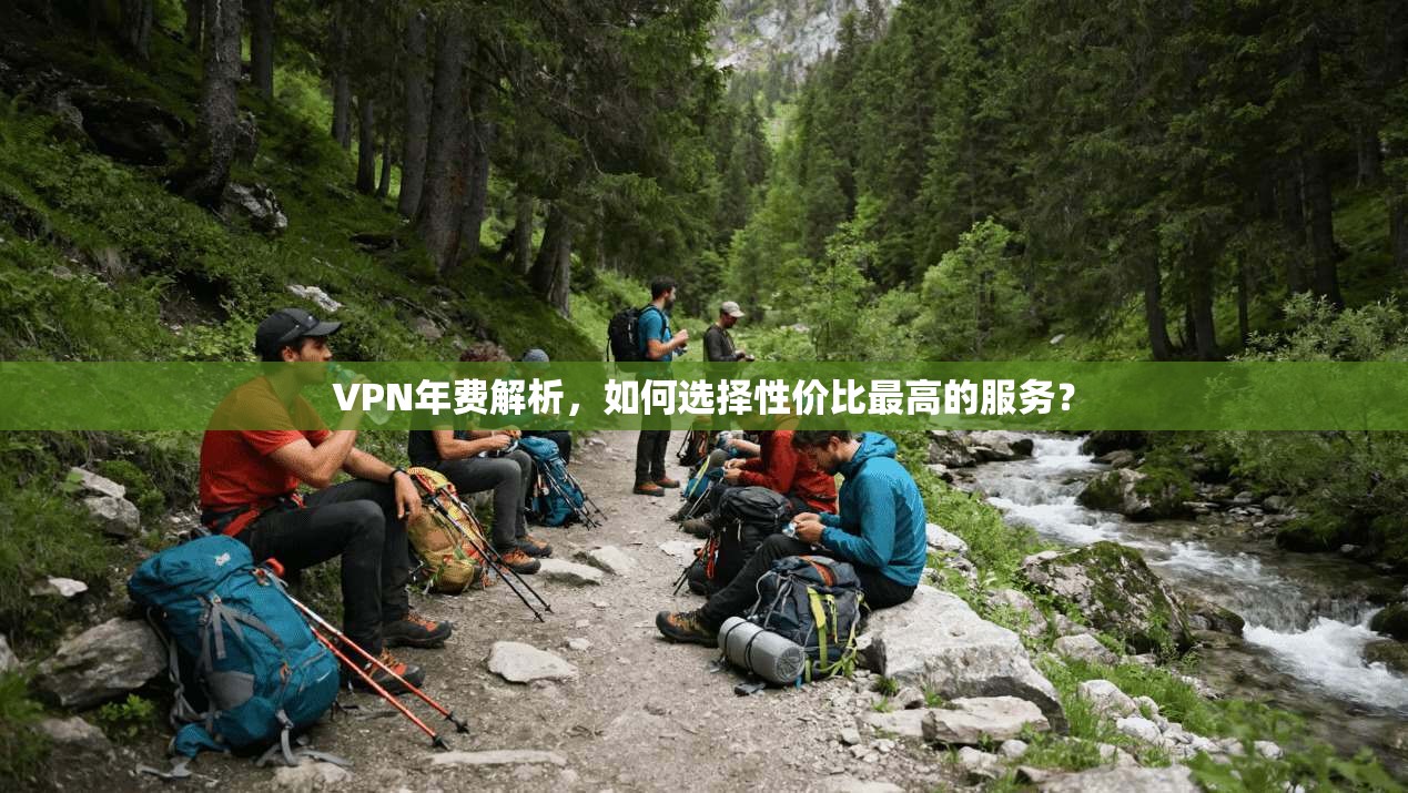 VPN年费解析,如何选择性价比最高的服务?