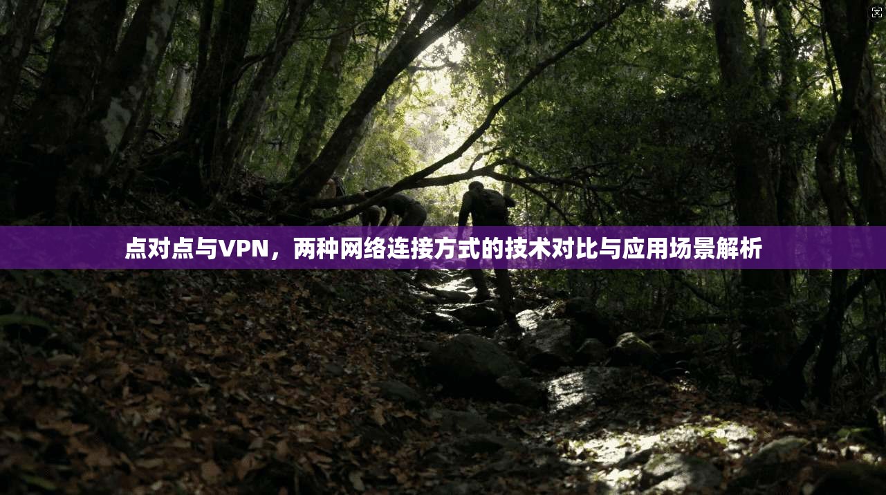 点对点与VPN，两种网络连接方式的技术对比与应用场景解析