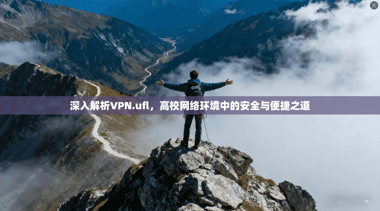 深入解析VPN.ufl,高校网络环境中的安全与便捷之道