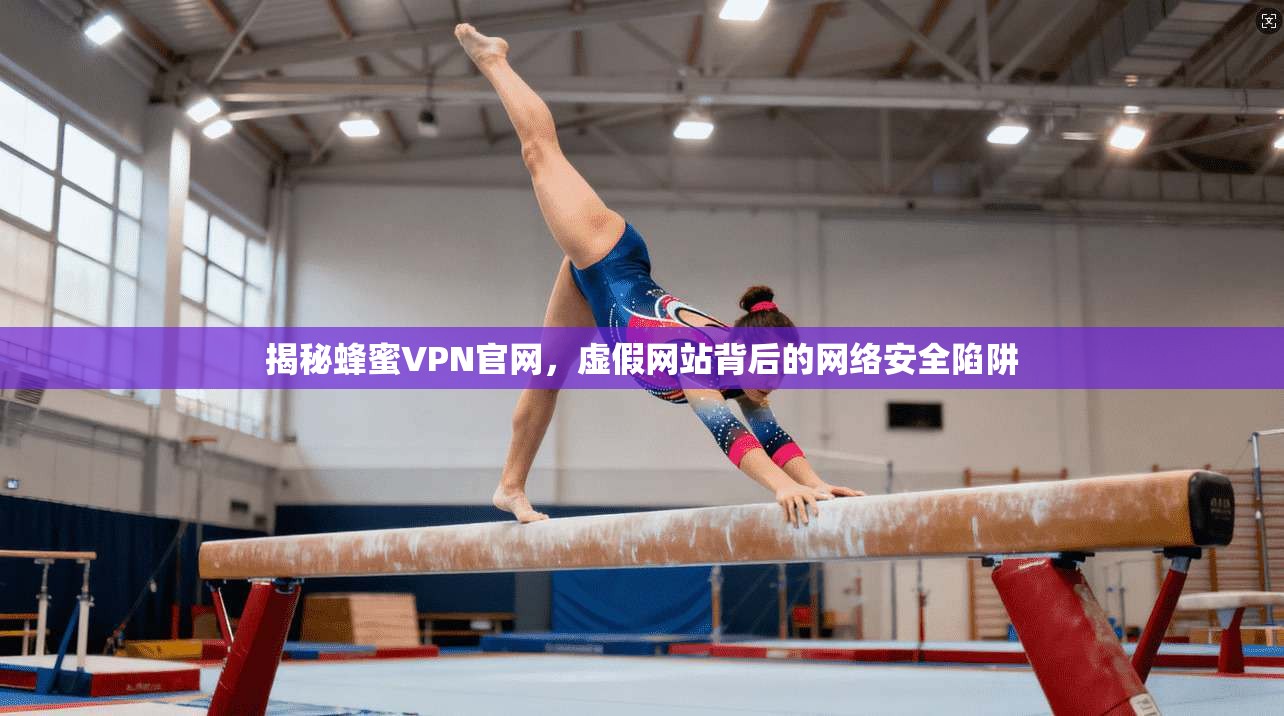 揭秘蜂蜜VPN官网,虚假网站背后的网络安全陷阱