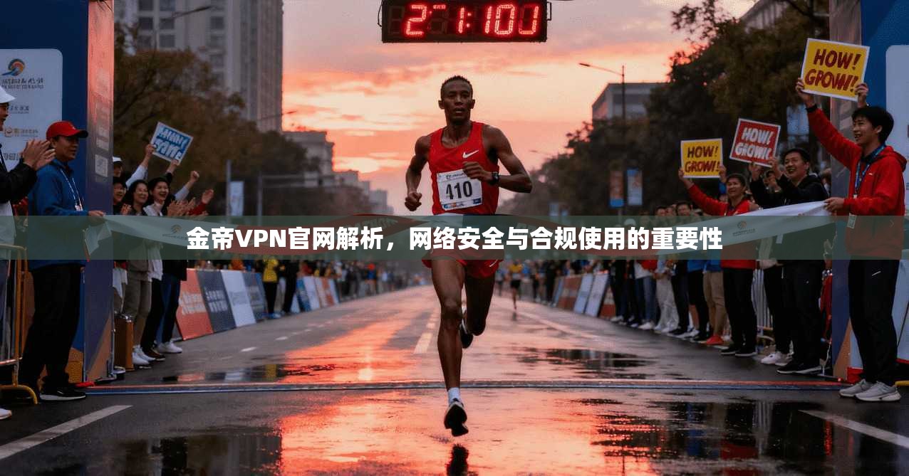 金帝VPN官网解析，网络安全与合规使用的重要性