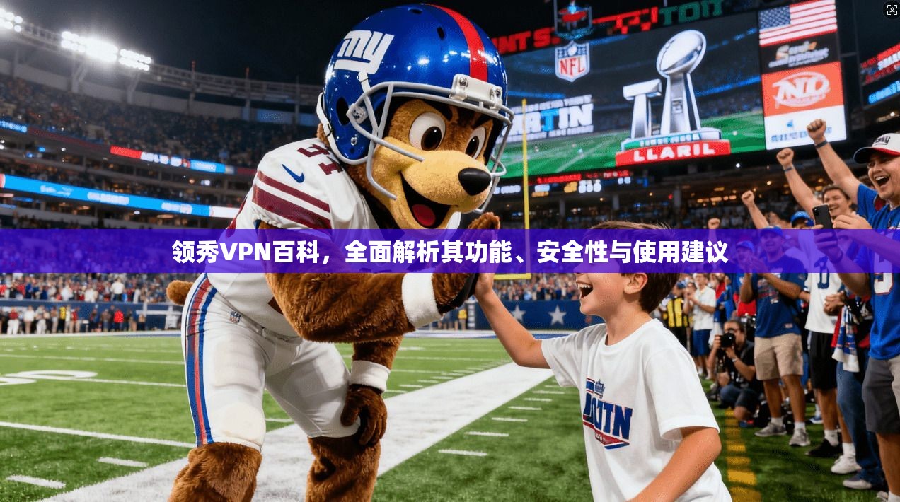 领秀VPN百科，全面解析其功能、安全性与使用建议