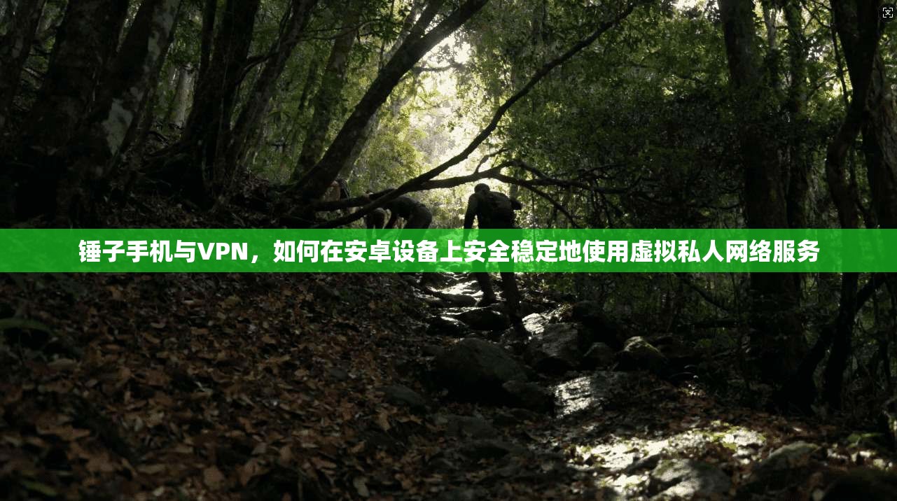 锤子手机与VPN，如何在安卓设备上安全稳定地使用虚拟私人网络服务