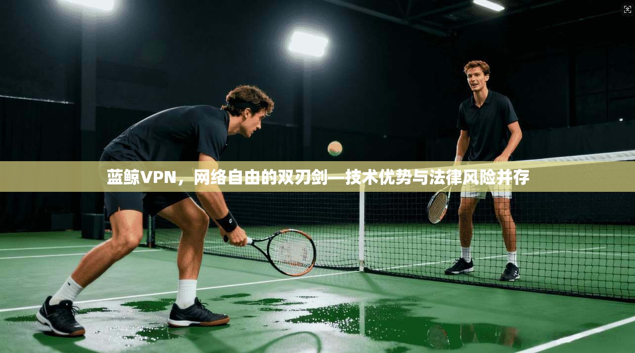 蓝鲸VPN，网络自由的双刃剑—技术优势与法律风险并存