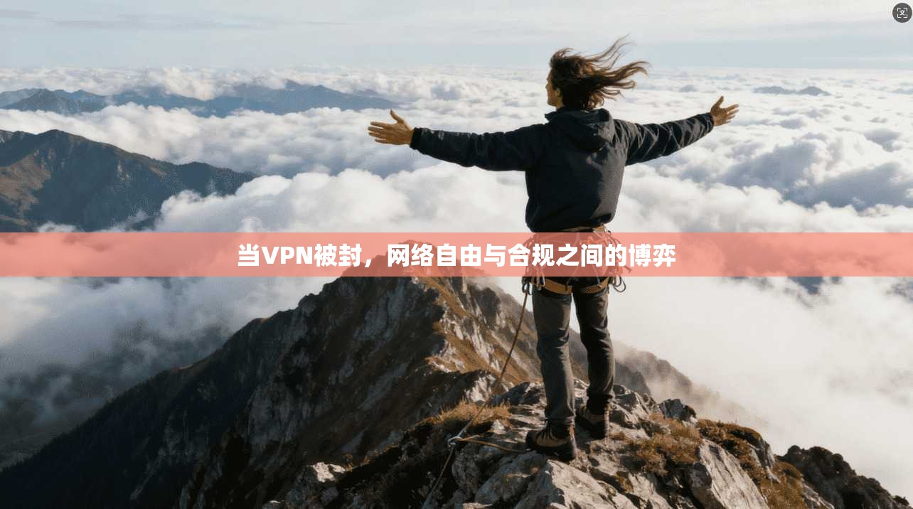 当VPN被封，网络自由与合规之间的博弈