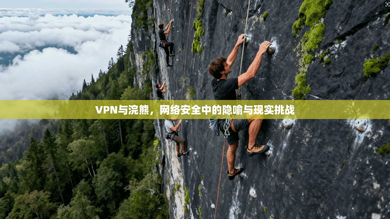 VPN与浣熊，网络安全中的隐喻与现实挑战