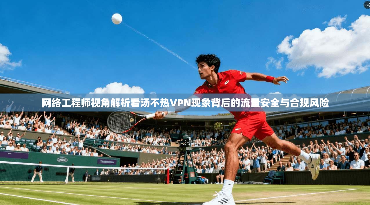 网络工程师视角解析看汤不热VPN现象背后的流量安全与合规风险