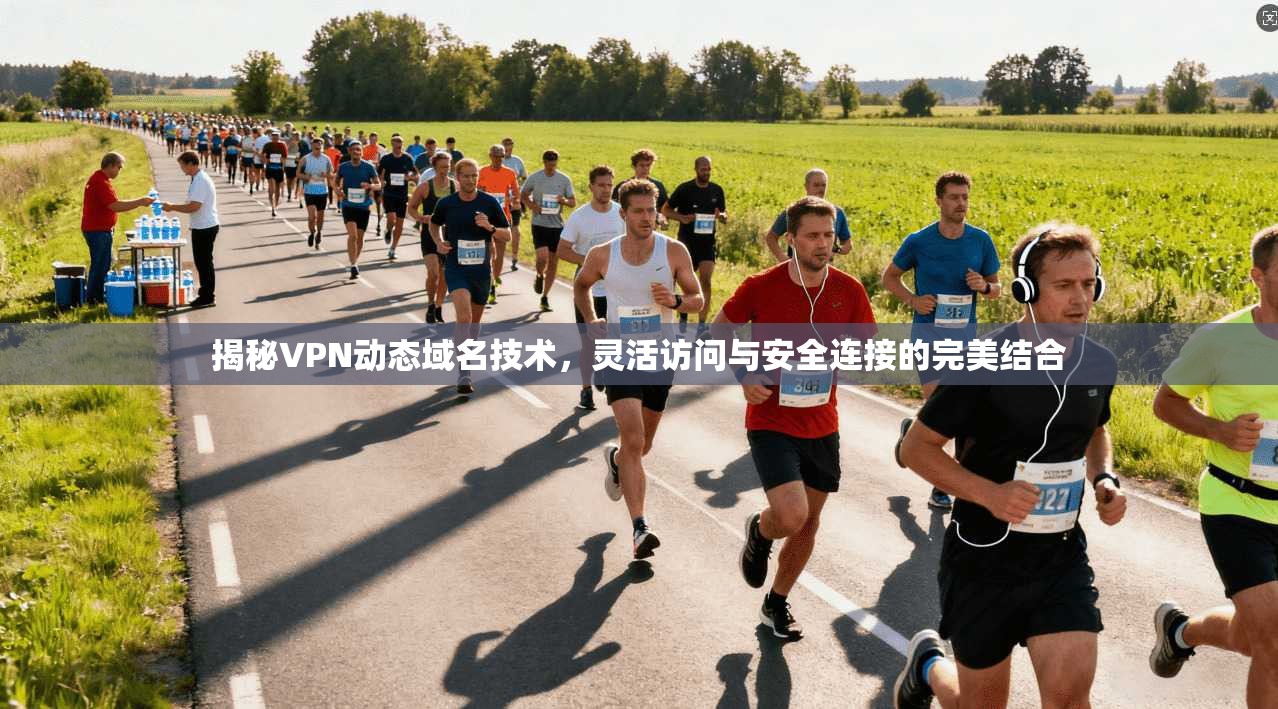 揭秘VPN动态域名技术，灵活访问与安全连接的完美结合