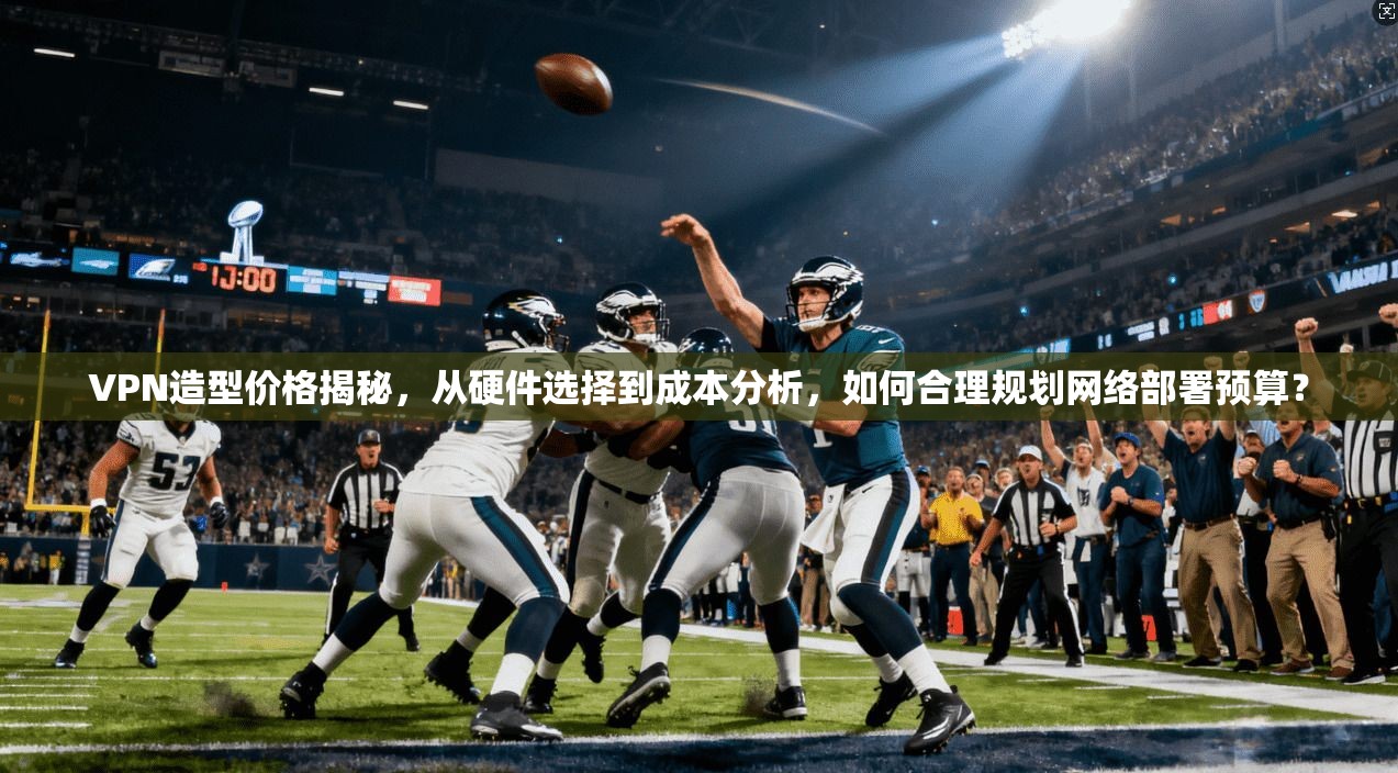 VPN造型价格揭秘，从硬件选择到成本分析，如何合理规划网络部署预算？