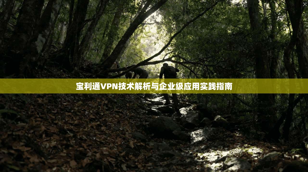 宝利通VPN技术解析与企业级应用实践指南