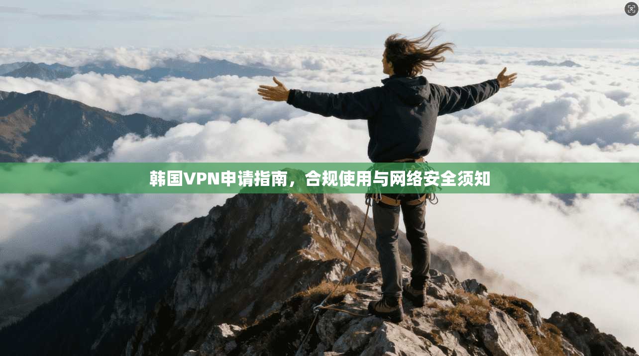 韩国VPN申请指南，合规使用与网络安全须知