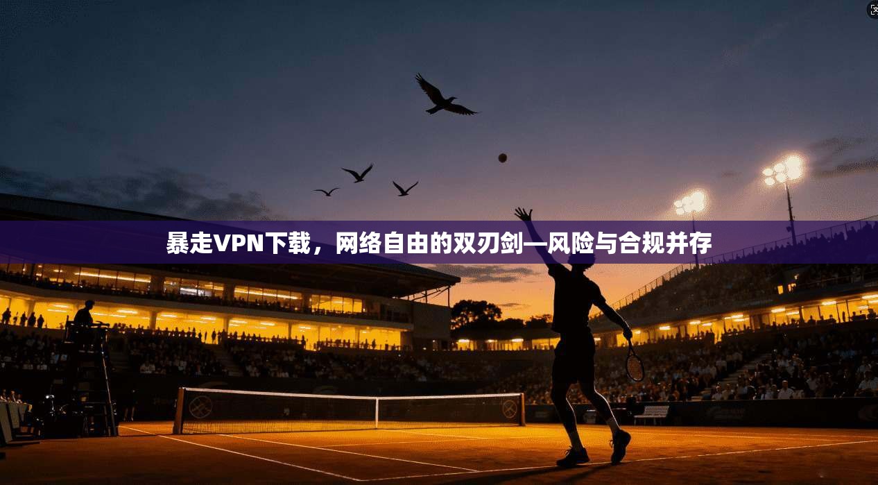 暴走VPN下载，网络自由的双刃剑—风险与合规并存