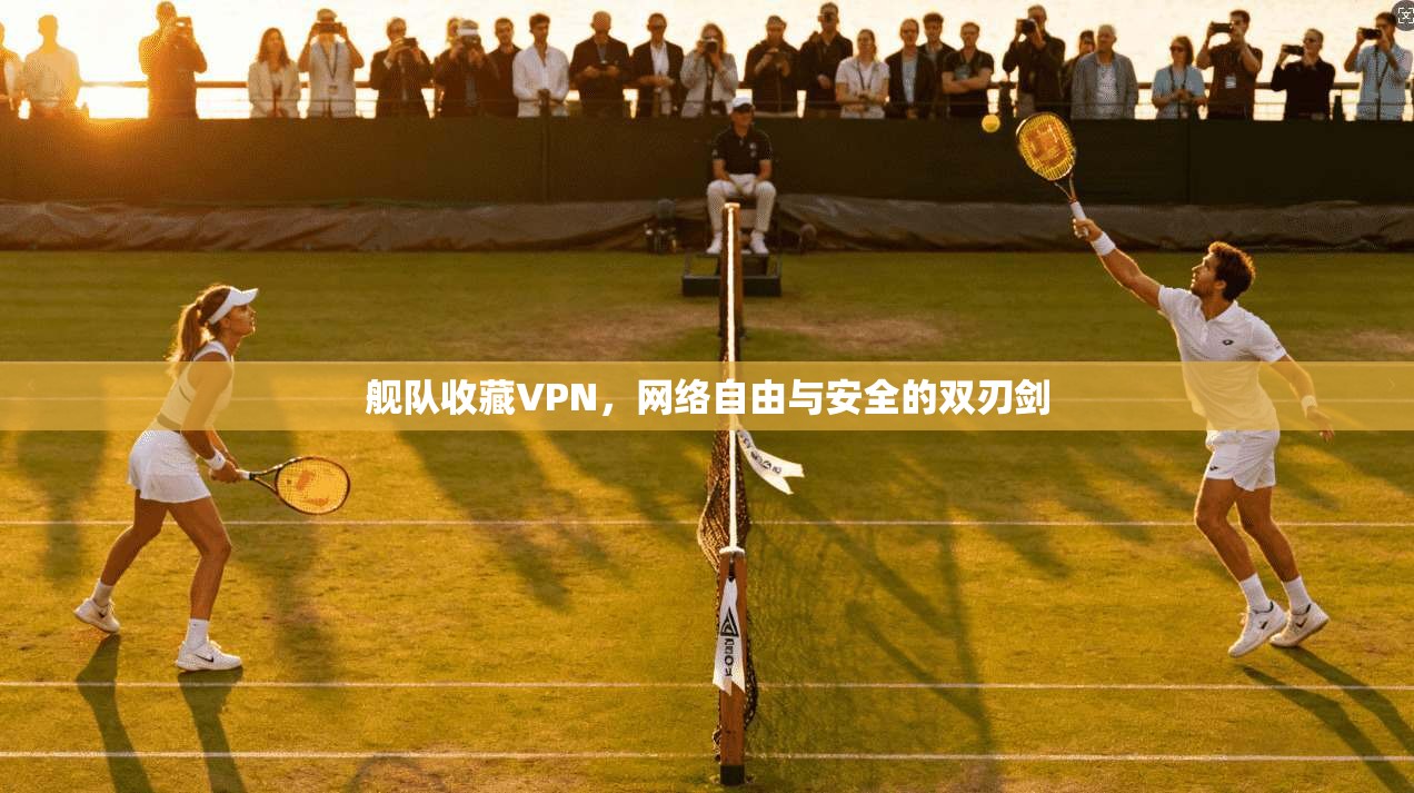 舰队收藏VPN，网络自由与安全的双刃剑