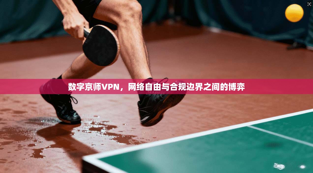 数字京师VPN,网络自由与合规边界之间的博弈
