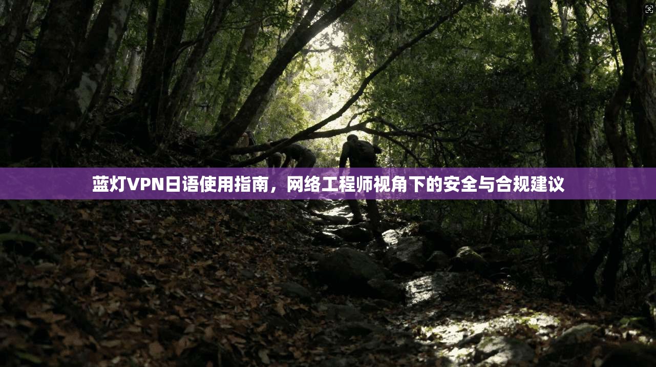 蓝灯VPN日语使用指南，网络工程师视角下的安全与合规建议