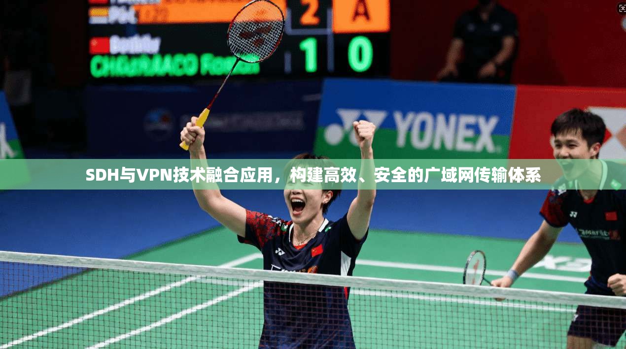 SDH与VPN技术融合应用，构建高效、安全的广域网传输体系