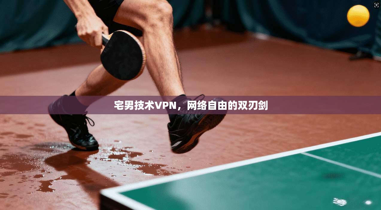 宅男技术VPN，网络自由的双刃剑