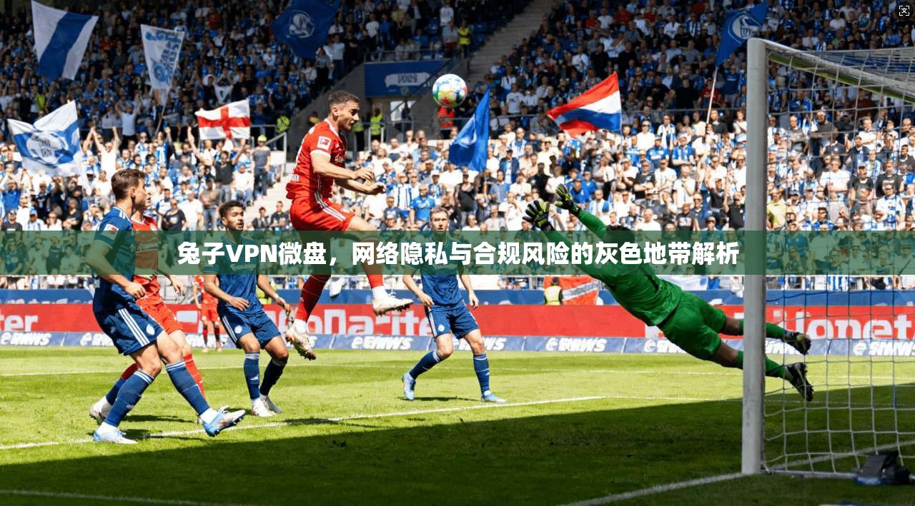 兔子VPN微盘，网络隐私与合规风险的灰色地带解析