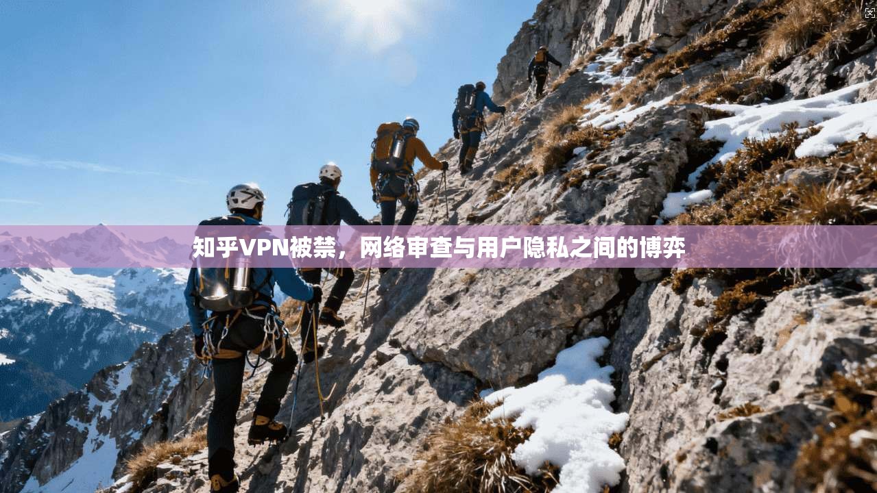 知乎VPN被禁,网络审查与用户隐私之间的博弈