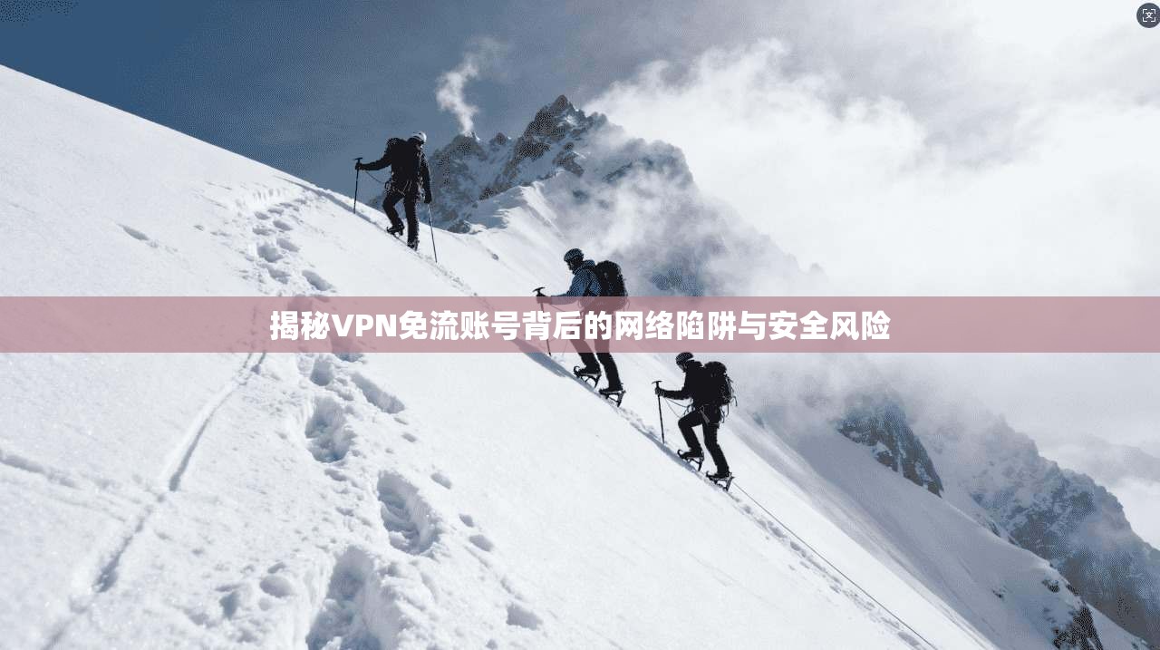 揭秘VPN免流账号背后的网络陷阱与安全风险