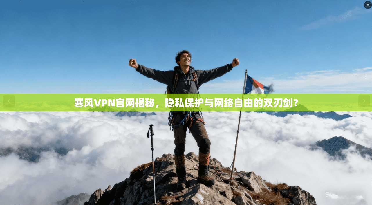 寒风VPN官网揭秘,隐私保护与网络自由的双刃剑?