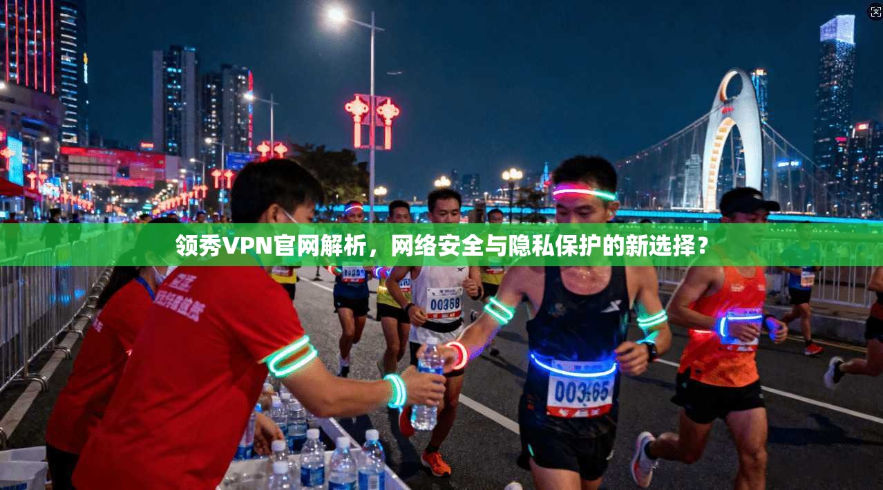 领秀VPN官网解析，网络安全与隐私保护的新选择？