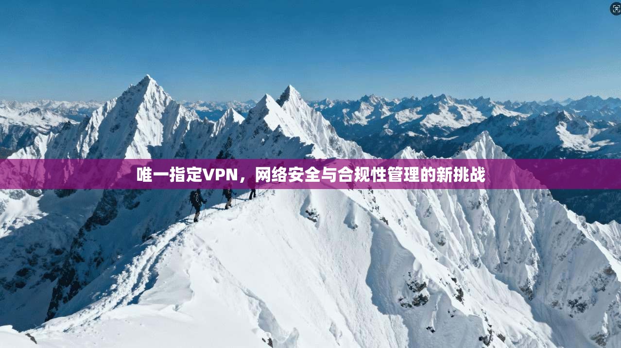 唯一指定VPN，网络安全与合规性管理的新挑战