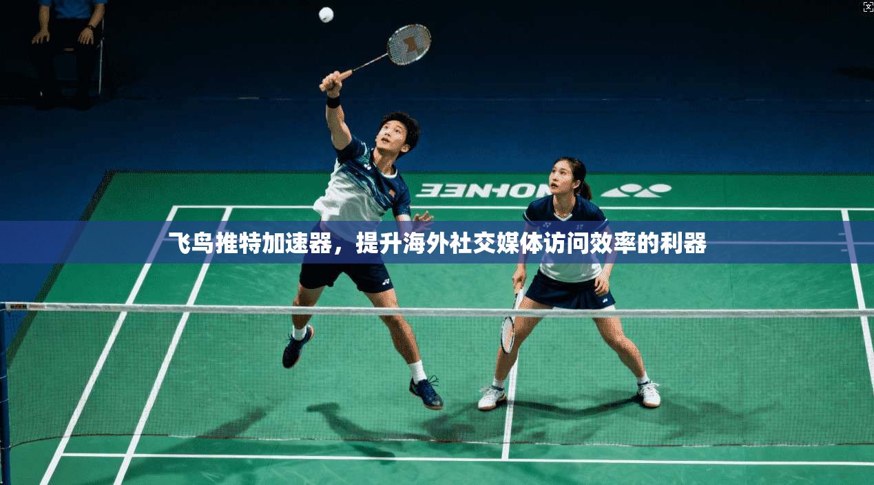 飞鸟推特加速器，提升海外社交媒体访问效率的利器