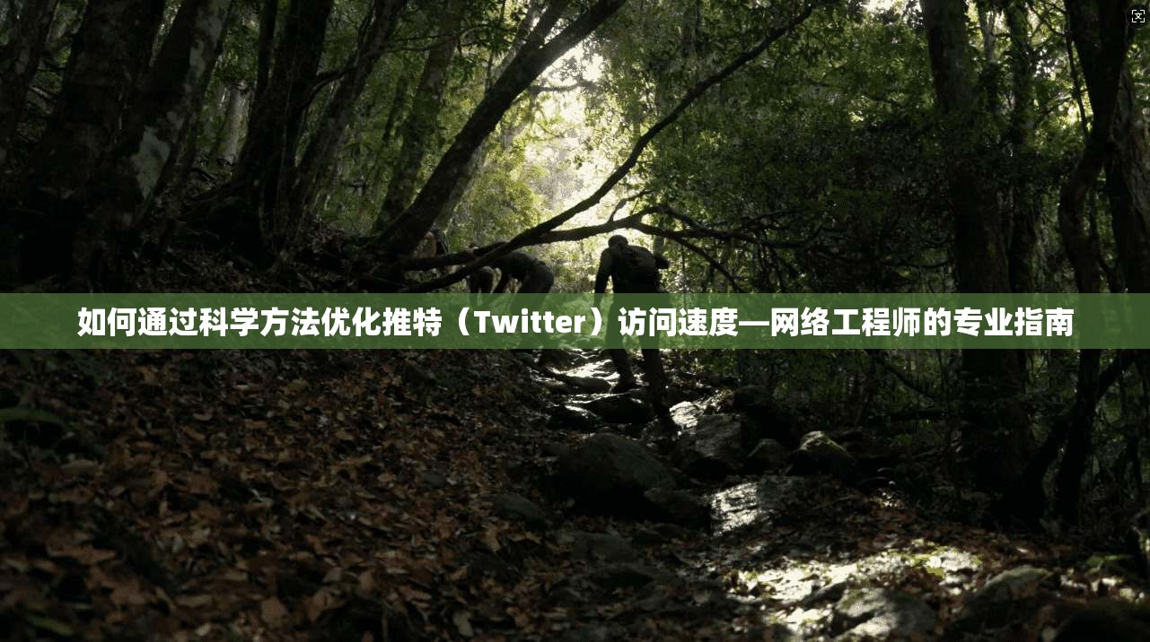 如何通过科学方法优化推特（Twitter）访问速度—网络工程师的专业指南