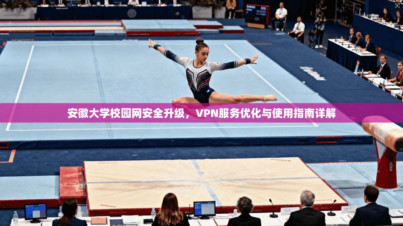 安徽大学校园网安全升级，VPN服务优化与使用指南详解