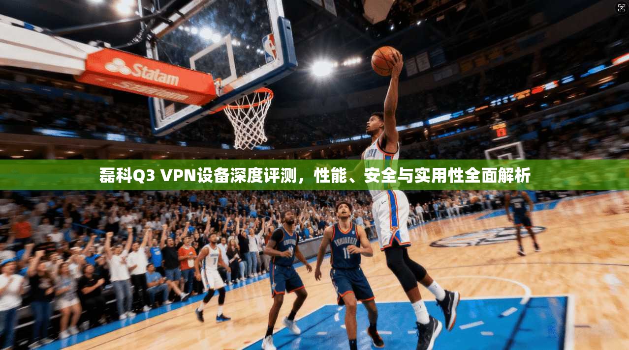 磊科Q3 VPN设备深度评测,性能、安全与实用性全面解析