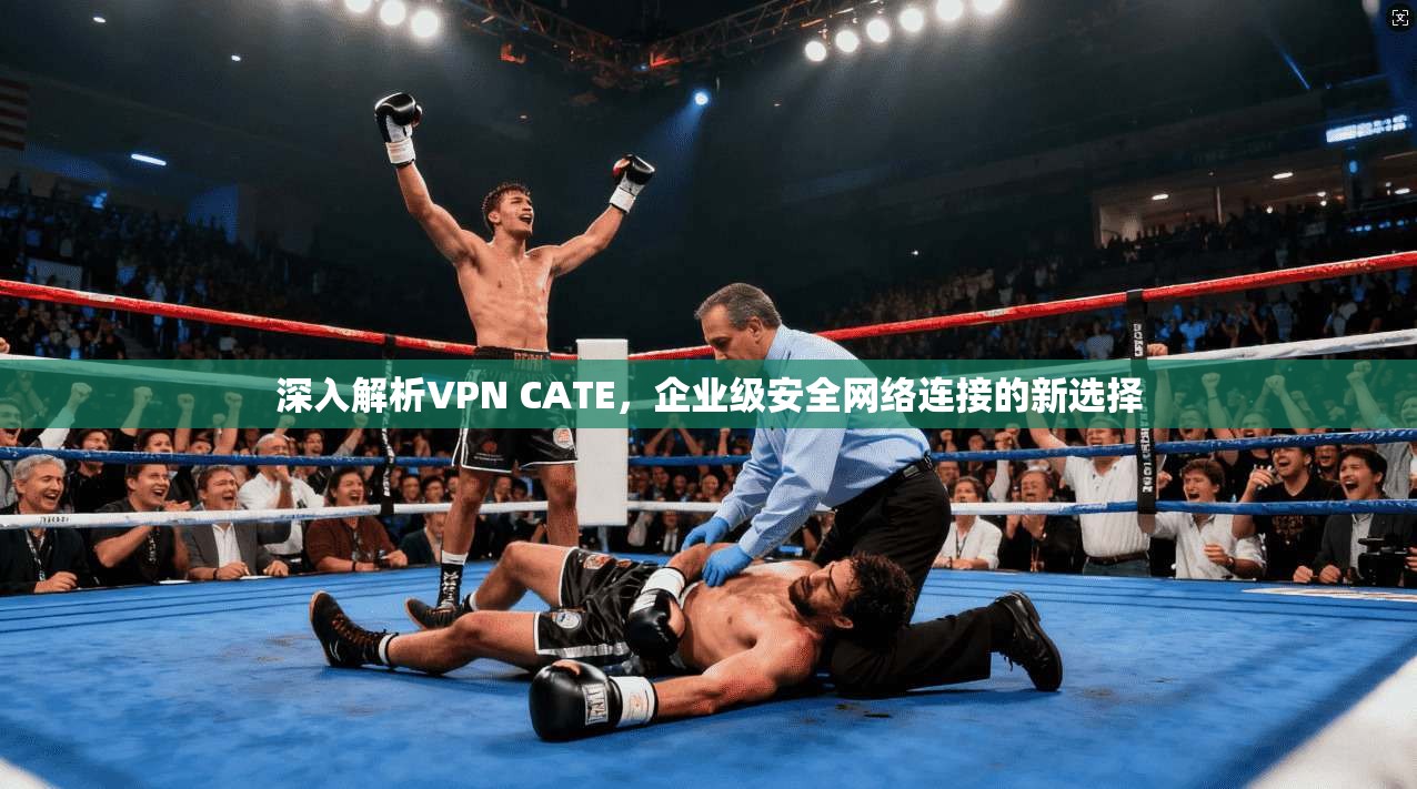 深入解析VPN CATE，企业级安全网络连接的新选择