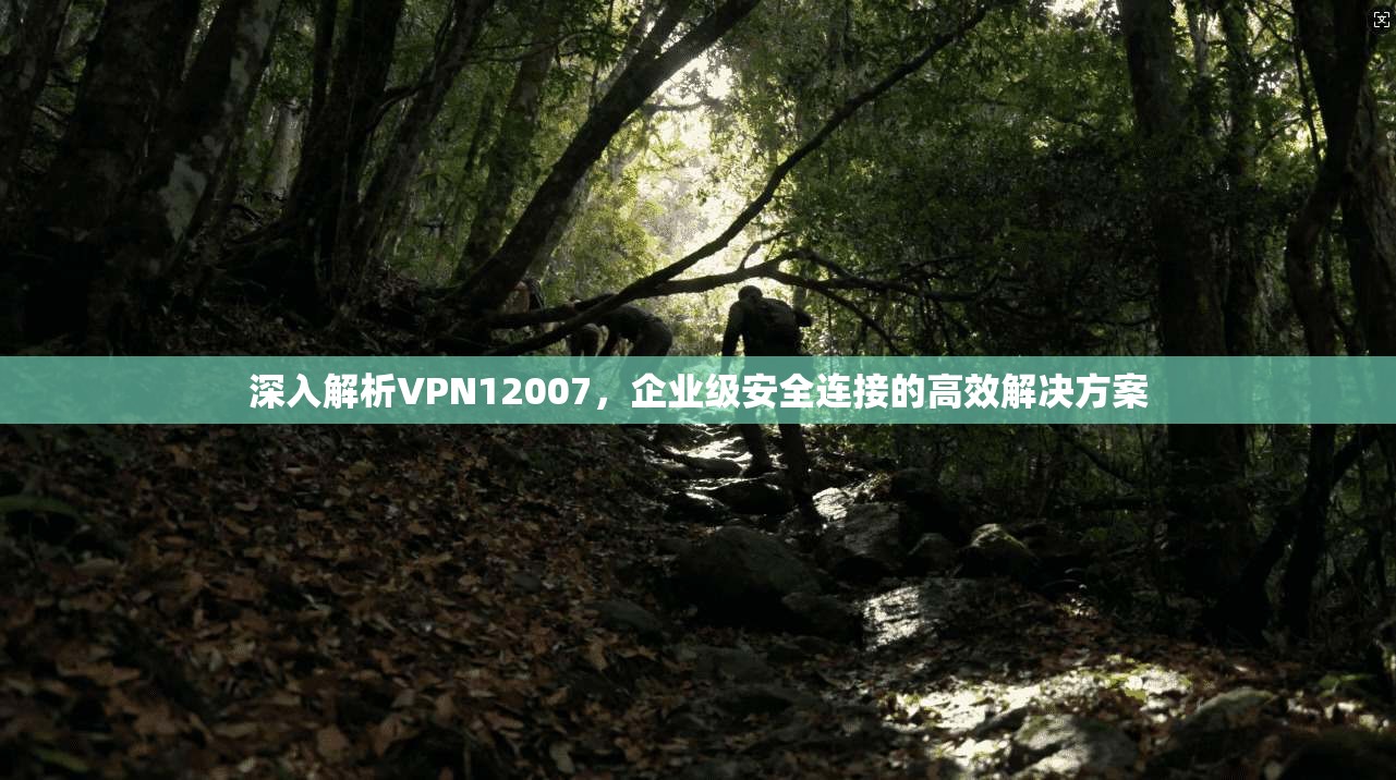 深入解析VPN12007，企业级安全连接的高效解决方案