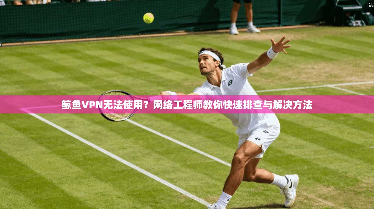 鲸鱼VPN无法使用？网络工程师教你快速排查与解决方法