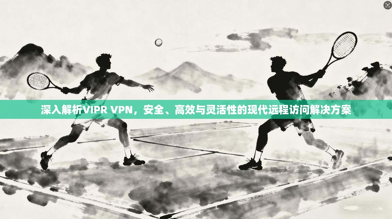 深入解析VIPR VPN，安全、高效与灵活性的现代远程访问解决方案