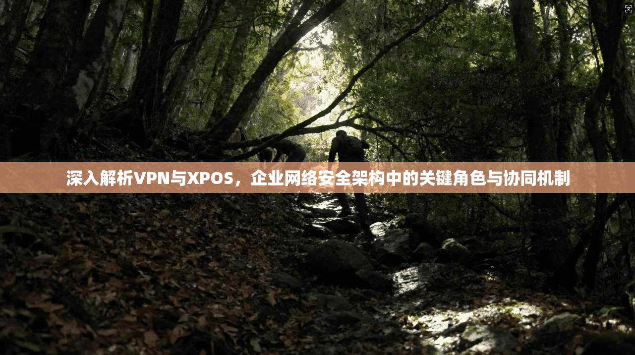 深入解析VPN与XPOS，企业网络安全架构中的关键角色与协同机制