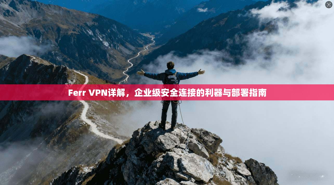 Ferr VPN详解，企业级安全连接的利器与部署指南