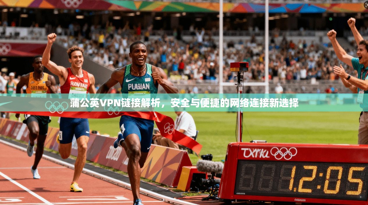 蒲公英VPN链接解析，安全与便捷的网络连接新选择