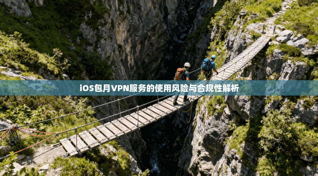 iOS包月VPN服务的使用风险与合规性解析