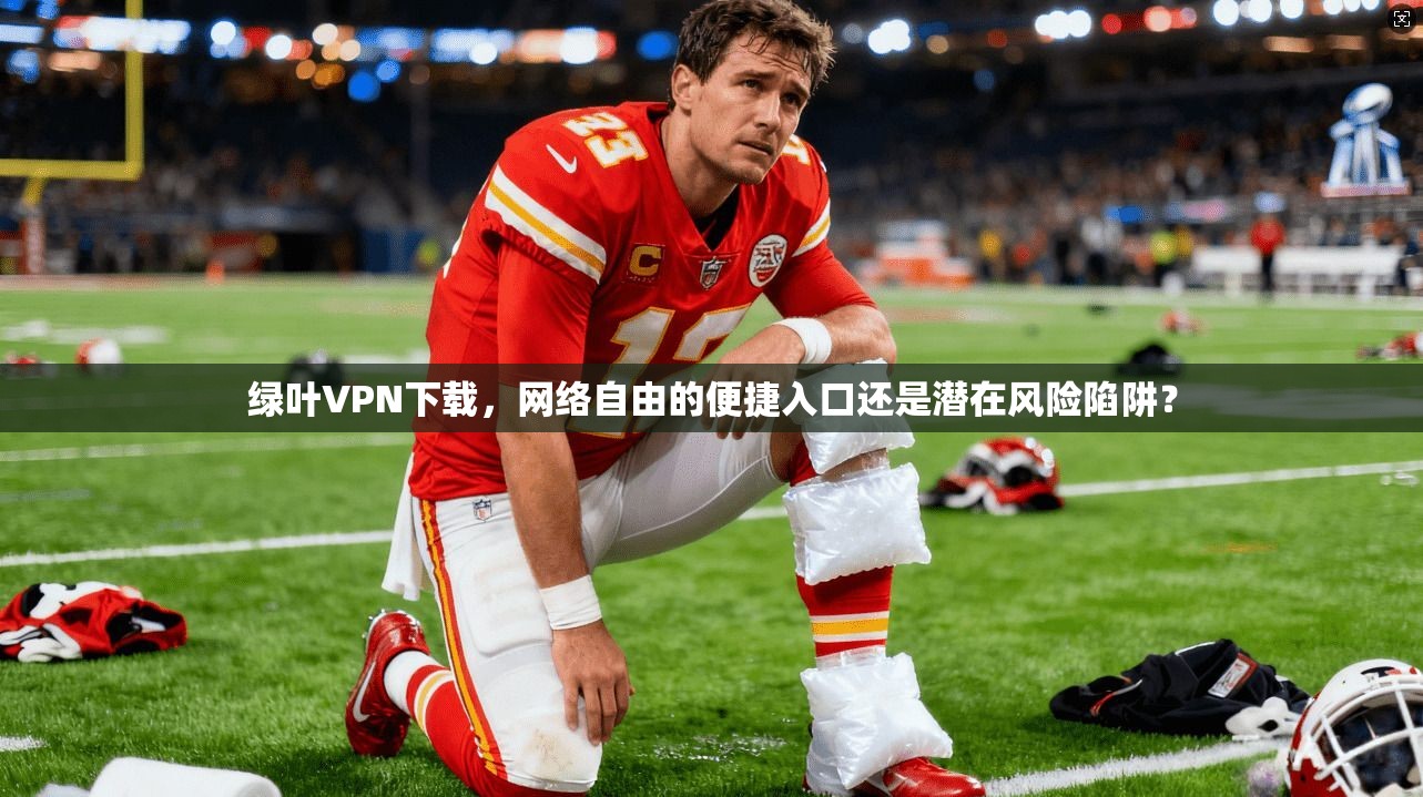 绿叶VPN下载,网络自由的便捷入口还是潜在风险陷阱?