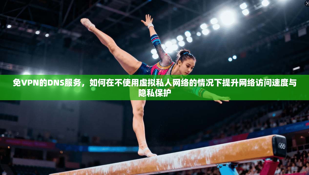免VPN的DNS服务，如何在不使用虚拟私人网络的情况下提升网络访问速度与隐私保护